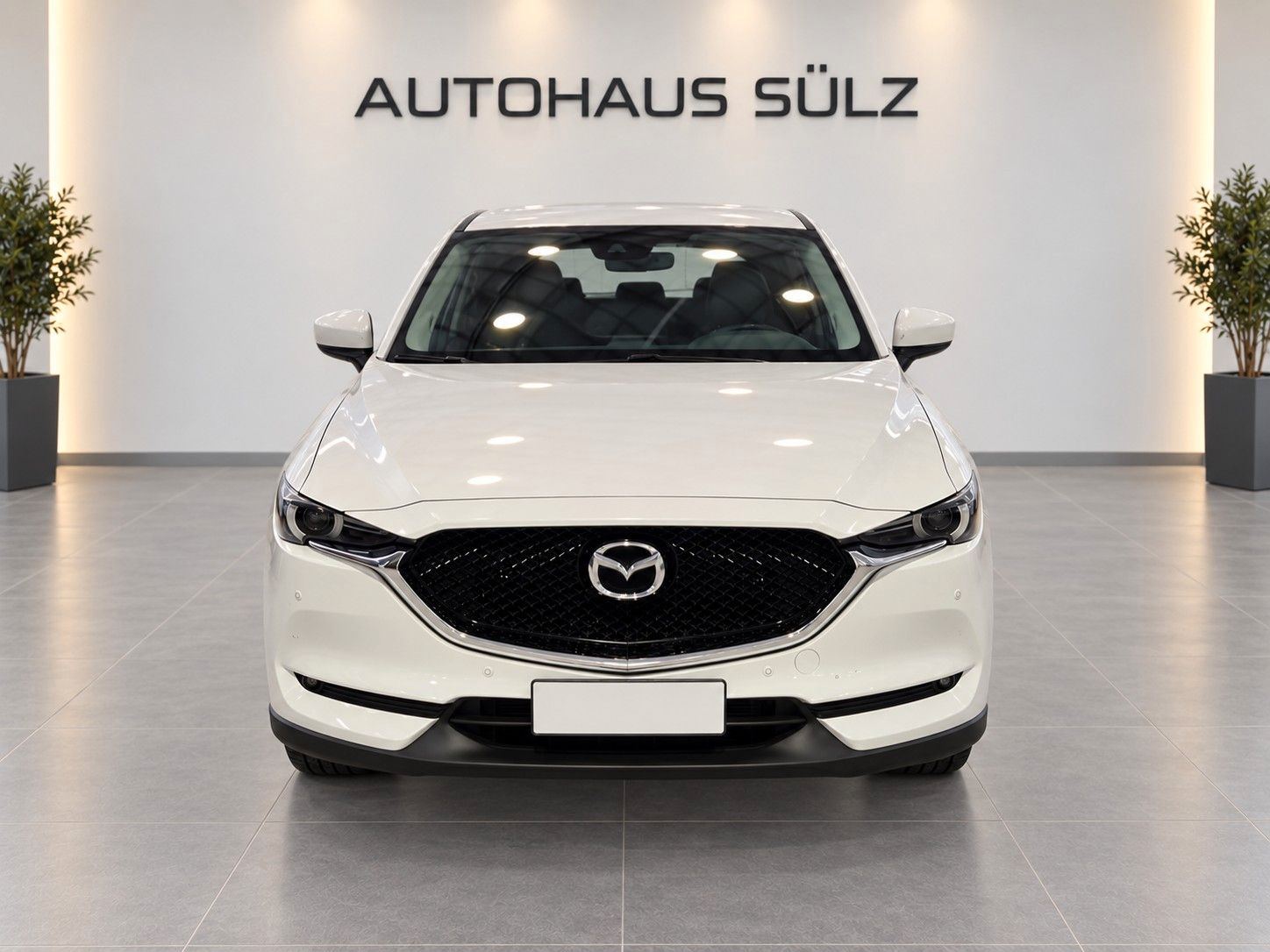 Mazda CX-5 2.2d Business Automatik Kamera foto 2