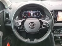 Skoda Karoq - Vorschau Bild 10