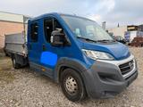 Fiat Ducato Pritsche 3 Seiten Kipper* *Dop... - Fiat Ducato: Kipper
