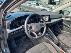 Fahrzeugabbildung Volkswagen Golf VIII Variant 1.0 eTSI DSG Life LED NAVI SHZ