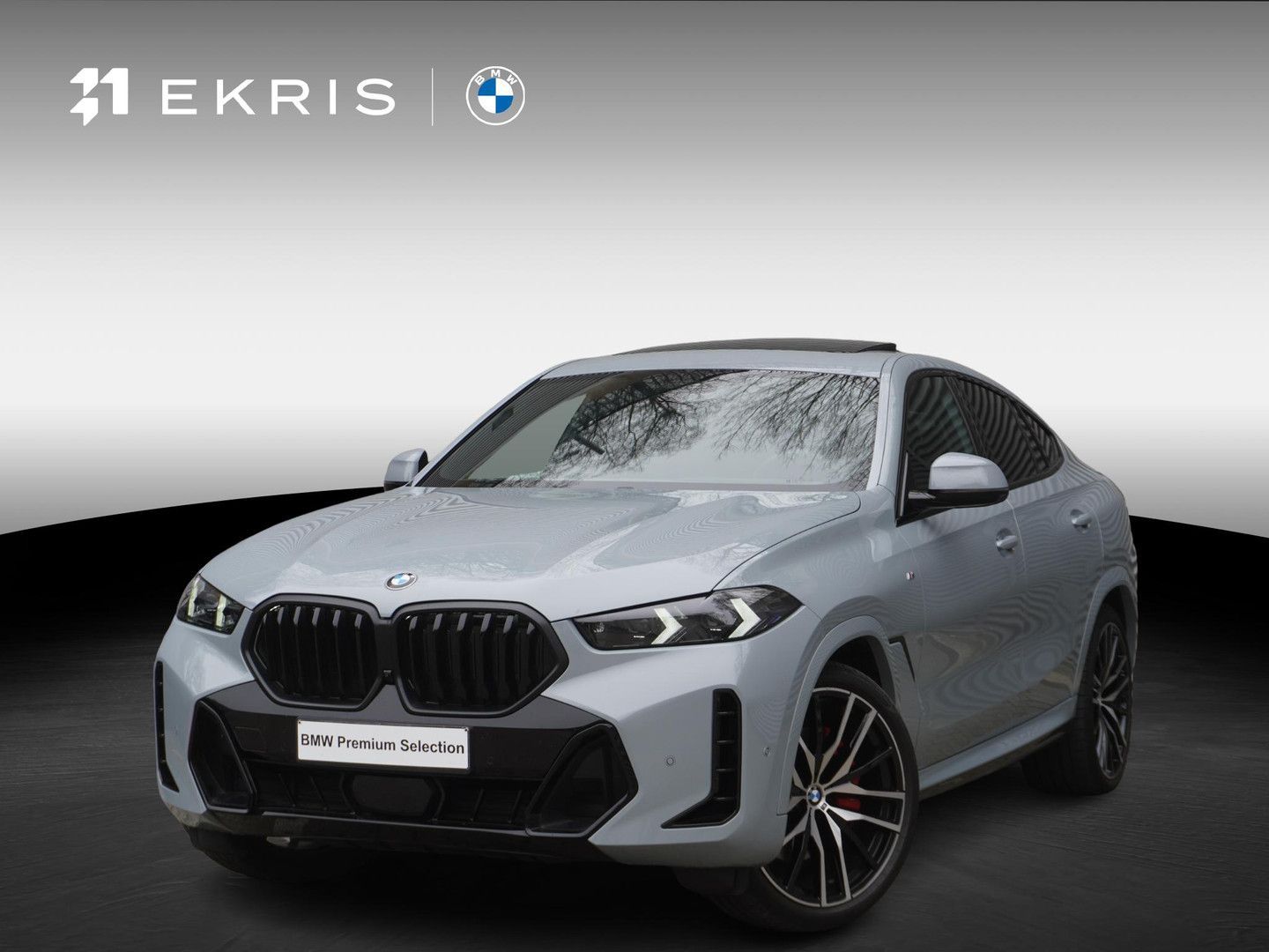 BMW X6 xDrive40i M Sportpaket Pro | Comfort Plus Pak