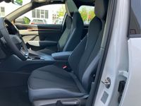Cupra Terramar - Vorschau Bild 9