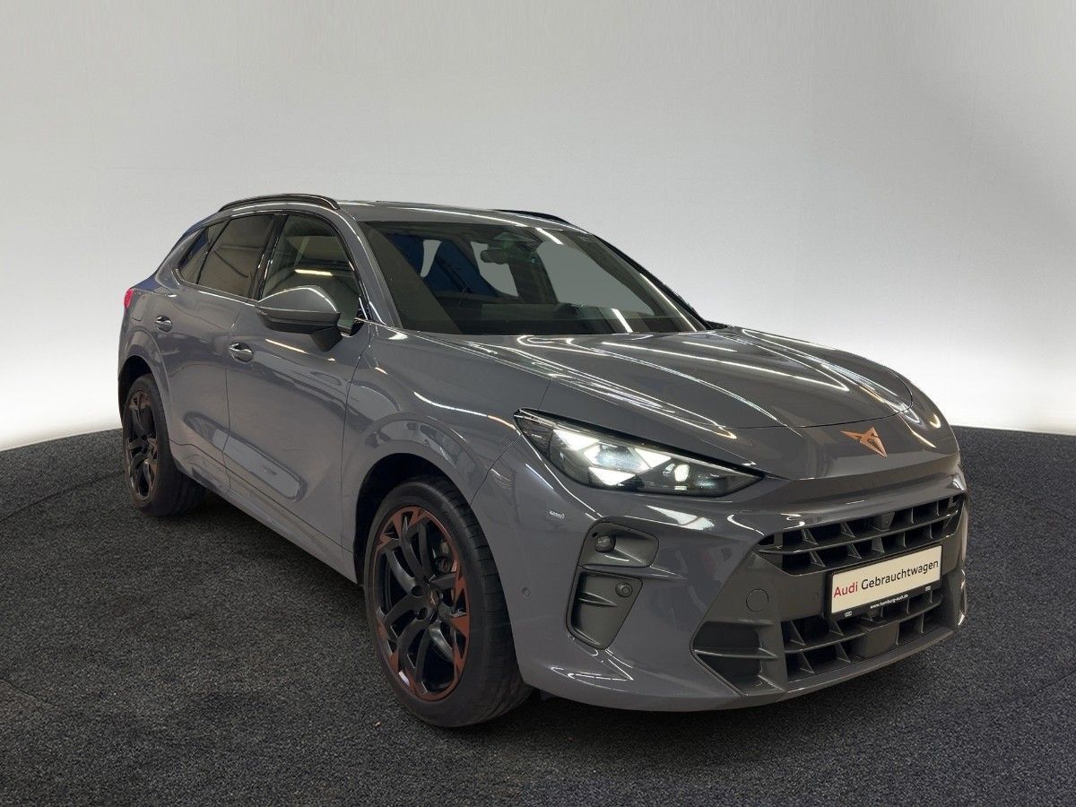 Cupra Terramar - Bild 5