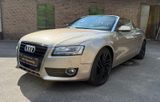 Audi A5 Cabriolet 2.7 TDI - Audi A5: 2.7