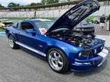 Ford (Mustang GT Premium) 4.6L | Shelby GT Optik | V8 - Ford aus 2007