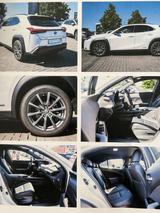 Lexus UX 250h Style Edition Style Edition - Lexus Gebrauchtwagen in Hamburg
