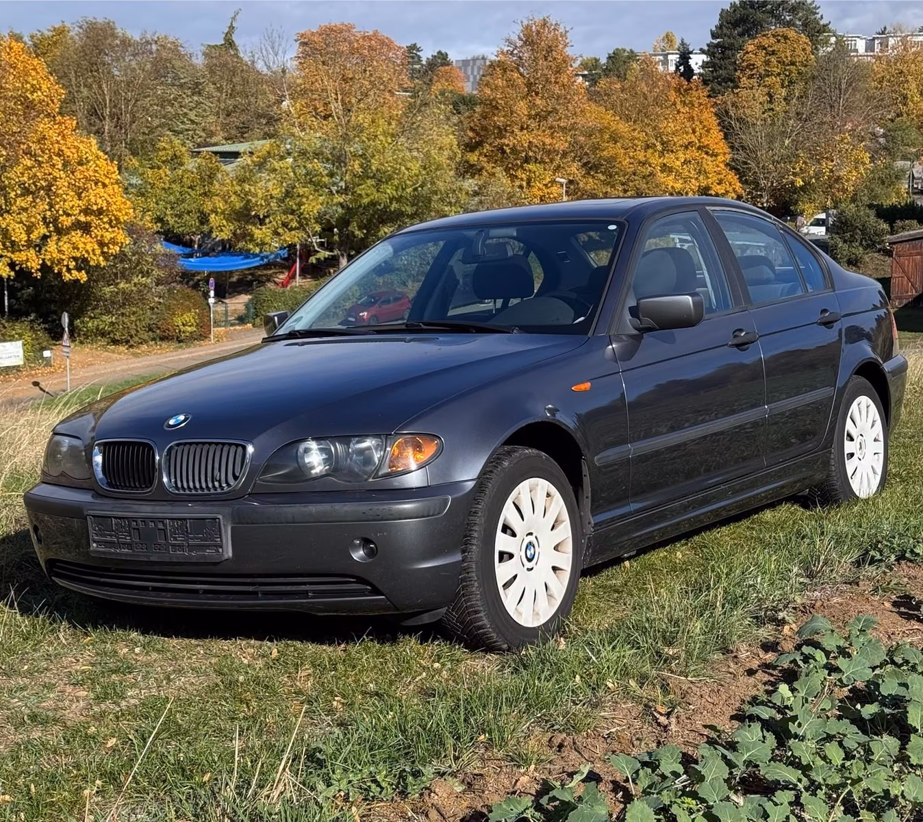 BMW 318