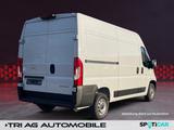 Opel Movano Cargo 3,5t L3H2 Automatik Standheizung Te - Angebote
