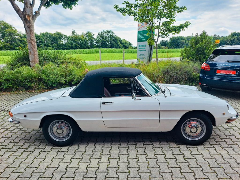 Alfa Romeo Spider