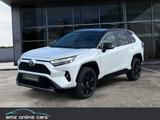 Toyota RAV 4 Hybrid Style 2Tone*Leder*el.Heckklappe - Toyota RAV 4 Gebrauchtwagen in Berlin