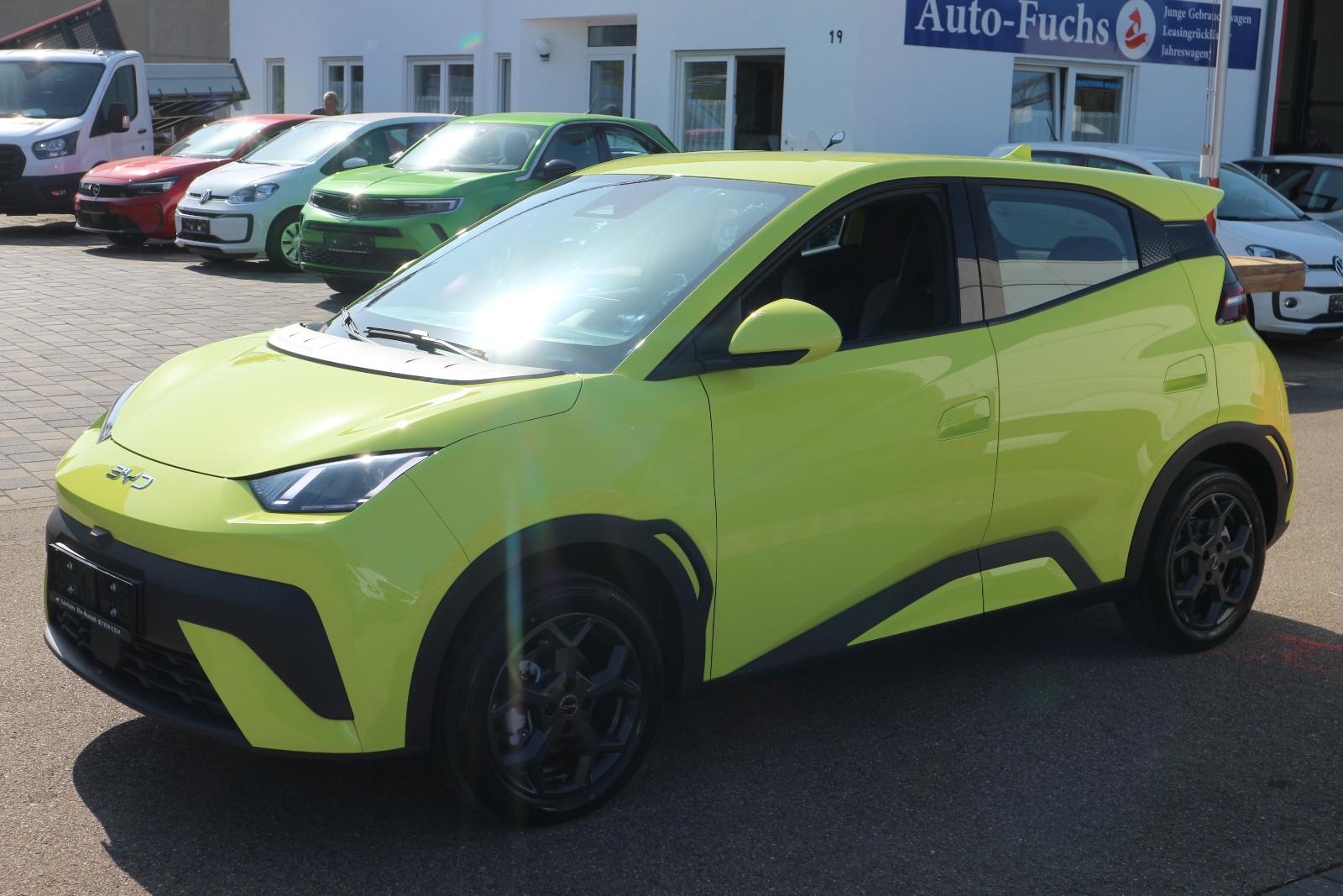 BYD DOLPHIN SURF Dolphin Surf 65 kW Boost 43kWh