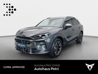 Cupra Terramar - Vorschau Bild 1