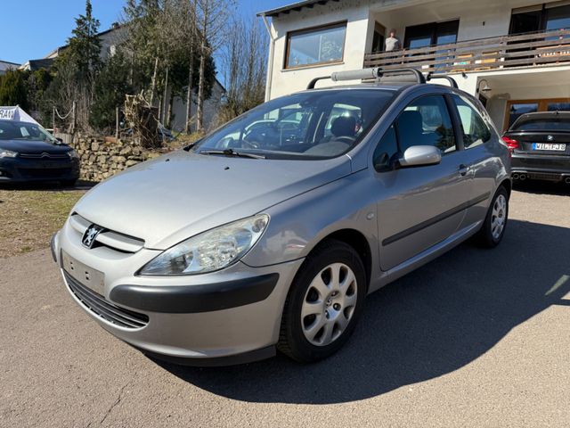 Peugeot 307 Grand Filou 110