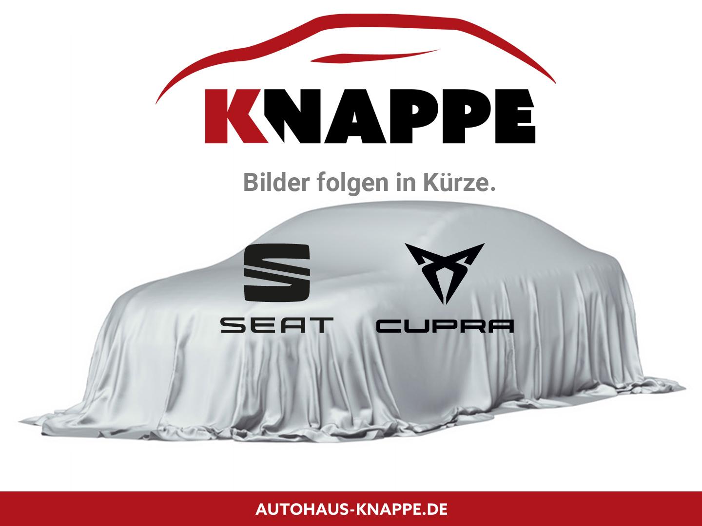 Cupra Terramar 1.5 eTSI Navi Hed-UP Kessy Dinamica Kam