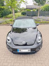 Volkswagen Beetle 1.2 TSI DSG BMT SOUND Cabriolet SOUND - Volkswagen Beetle SOUND mit Benzin-Antrieb