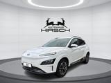 Hyundai EV Advantage 11 KW Onboard LED NAVI - weiße Hyundai KONA Elektro