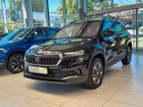 Skoda Karoq 1.5 TSI DSG Tour *Winterräder* - Skoda: Winterräder