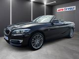 BMW 218i Cabrio Luxury Line LED Navi Tempomat Sitzhe - BMW Gebrauchtwagen in Halle