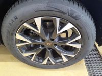 Cupra Terramar - Vorschau Bild 12