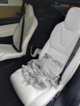 Tesla Model X 75d - weiße Tesla Model X