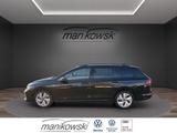 Volkswagen Golf VIII Var. 1.5 eTSI DSG 115 PS *LIFE*AHK ACC - Volkswagen: L