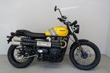 Triumph Scrambler 900 * Wunderschön* - Offers matching your search criteria