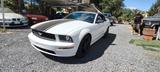 Ford Mustang GT CABRIO - Ford Mustang aus 2006: Cabrio