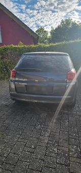 Opel Signum 1.8 mit TÜV - Opel Signum: 1.8