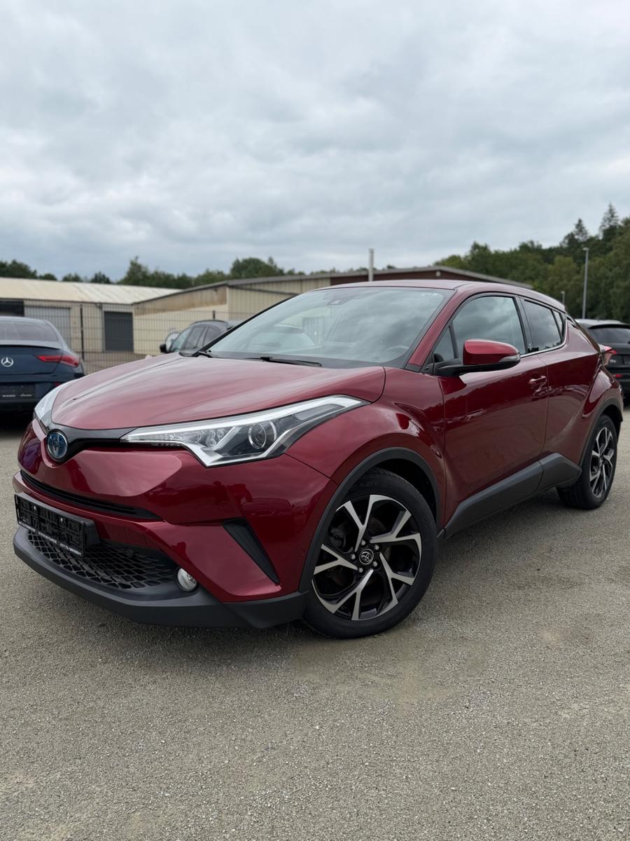 Toyota C-HR Hybrid Team D