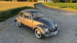 Volkswagen Käfer - Volkswagen Käfer mit Benzin-Antrieb: Coupé