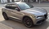 Alfa Romeo Stelvio 2.0 Turbo 16V 147kW B-Tech AT8-Q4 B-Tech - Alfa Romeo Stelvio von privat