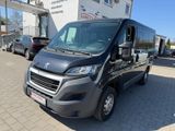 Peugeot Boxer Kombi L1H1 Active BlueHDi 130/ 8 Sitzer - Peugeot: 8sitzer
