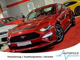 Ford Mustang 5.0 GT*FASTBACK*LEDER*RECARO* - Ford Mustang: Rot