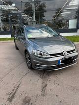 Volkswagen Golf VII Var 1.6 TDI IQ.DRIVE | 06/19 | 121k km