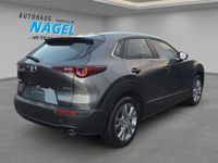 Mazda CX-30 - Vorschau Bild 6