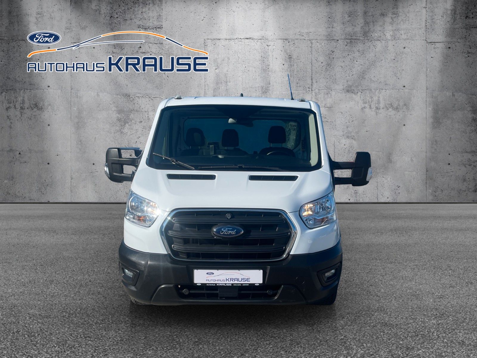 Fahrzeugabbildung Ford Transit Kipper 350 L2 Einzelkabine Trend*4x4