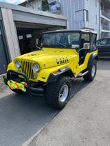 Jeep CJ - Jeep CJ Benziner Gebrauchtwagen