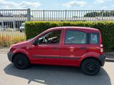Fiat Panda zu verkaufen tüv bis Dezember 2027 - Fiat Panda Gebrauchtwagen in Aachen