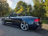 Audi S5 3.0 TFSI S tronic quattro Cabriolet - - Audi S5 mit Anhängerkupplung