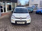 Fiat Panda Pandina 1.0 GSE 52kW Hybrid Klima, DAB - Fiat Panda Gebrauchtwagen in Hannover