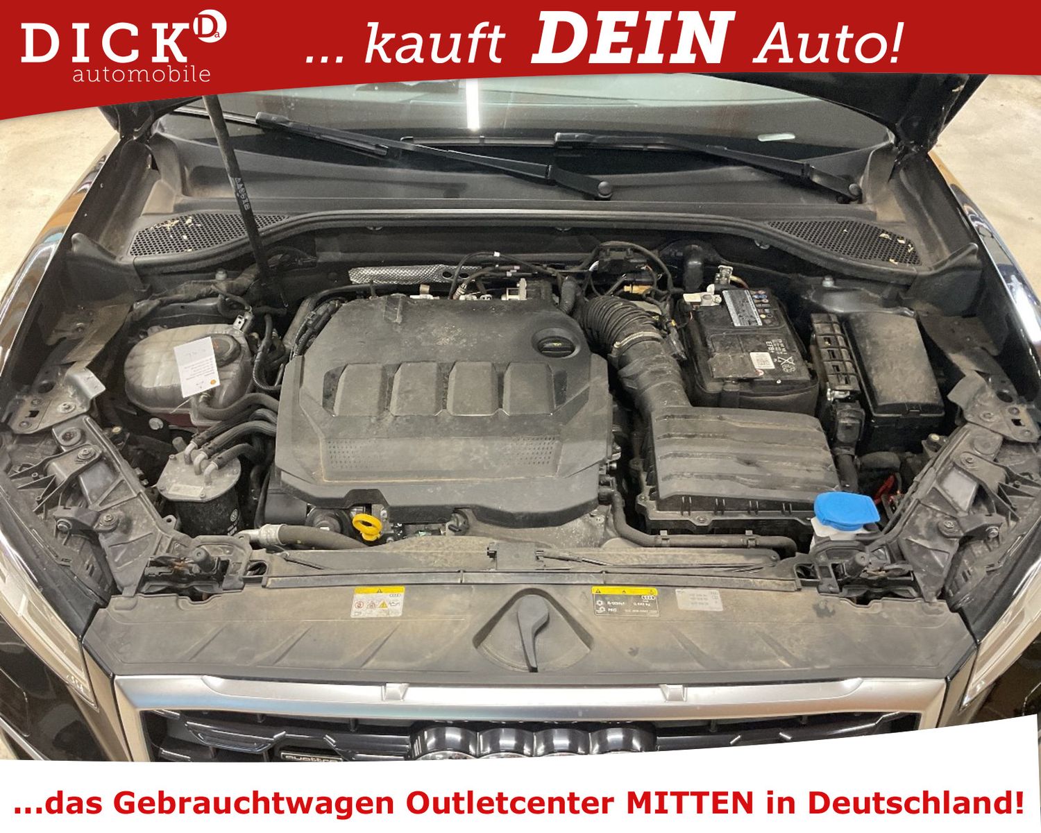 Fahrzeugabbildung Audi Q2 35d Quatt S-Tr. S LINE+EXT/LED+/VIRTU/HIFI/8F