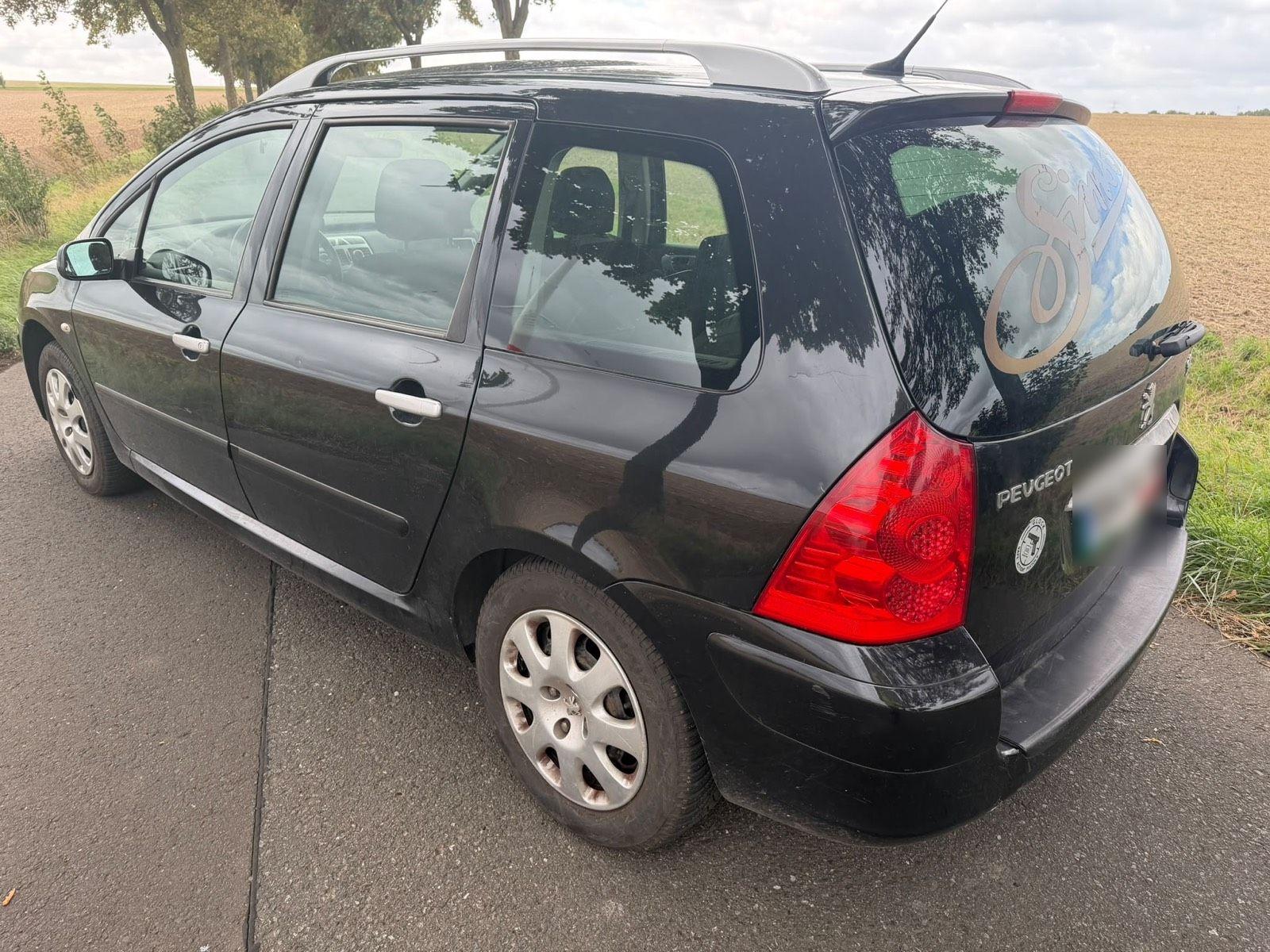 Peugeot 307 2007 — interior