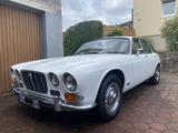 Jaguar XJ6 Serie 1, 2 Vorbesitzer, Tausch/Inzahl. mögl. - Jaguar aus 1971