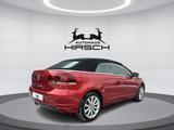 Volkswagen Golf VI Cabriolet 2.0 TDI 17" Navi PDC Standhzg - Volkswagen Golf: Cabrio, 2.0