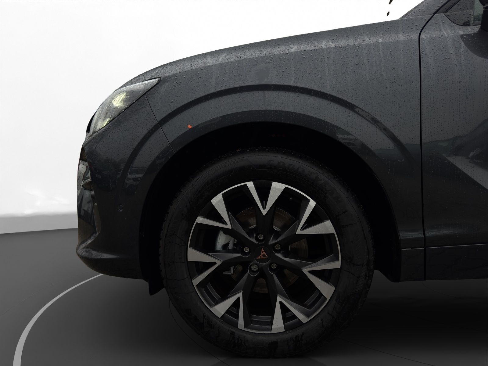 Cupra Terramar - Bild 11