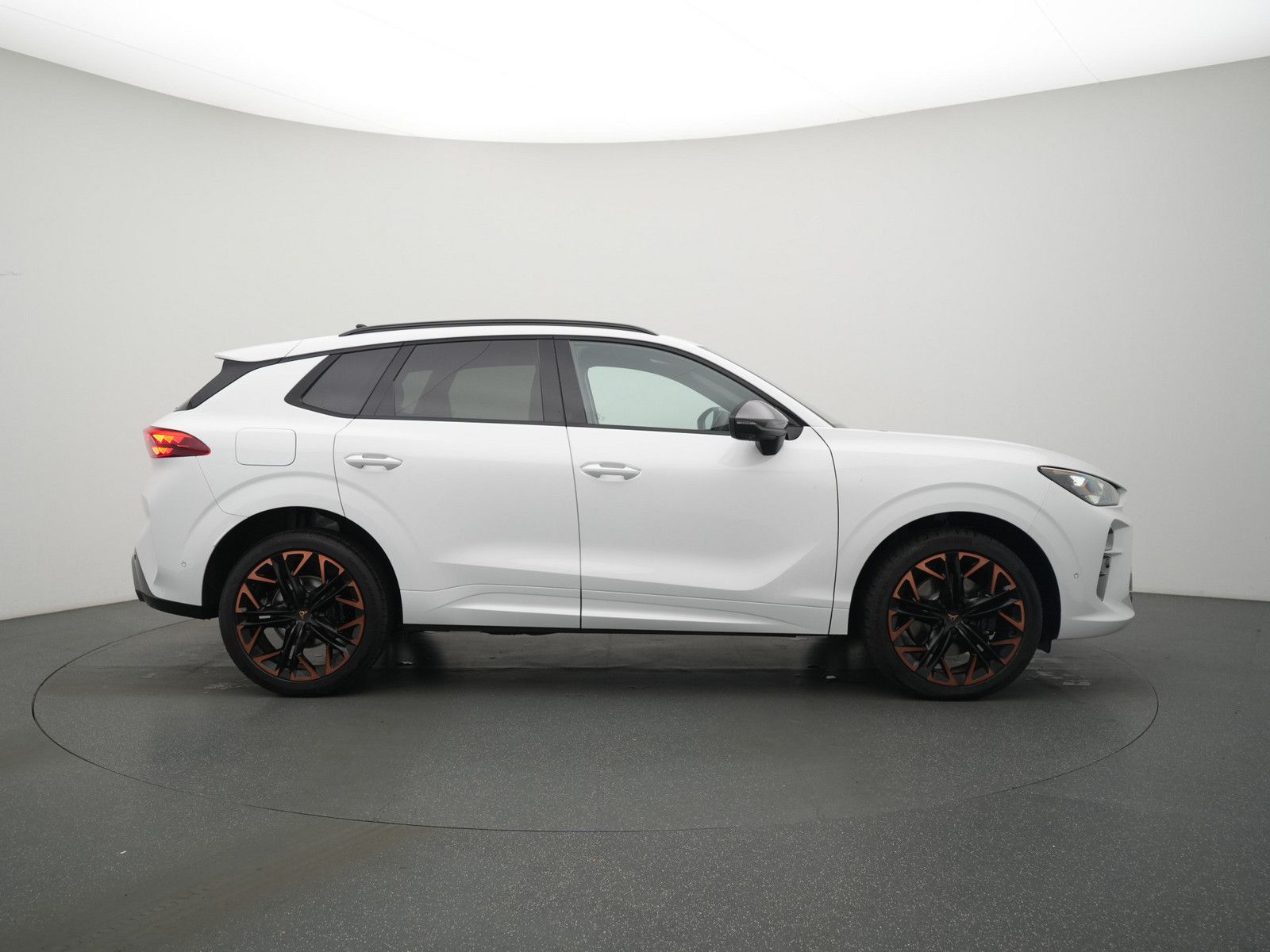 Cupra Terramar - Bild 3