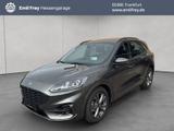 Ford Kuga 2.0 EcoBlue Aut. ST-LINE - Ford Kuga mit Diesel-Antrieb: Geländewagen