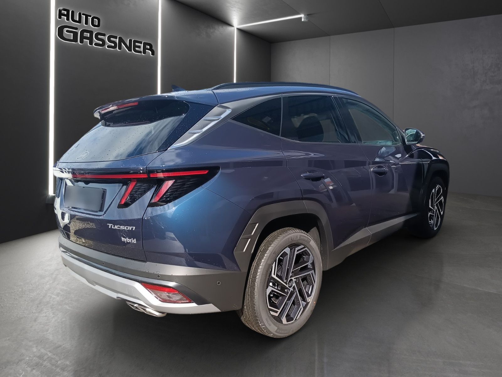 Fahrzeugabbildung Hyundai Tucson Hybrid Prime 239PS 4WD Assip.