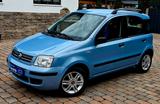 Fiat Panda 1.2 8V AUTOMATIKGETRIEBE - Fiat Panda mit Benzin-Antrieb: Automatik