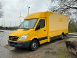 Mercedes-Benz Sprinter II Pritsche/ Koffer/Regalsystem - Angebote